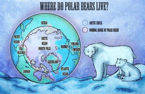 Polar Bear Map - Polar Bears