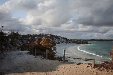 In Australia’s Deadly Year for Shark Attacks, a Surfer Lives to Tell ...