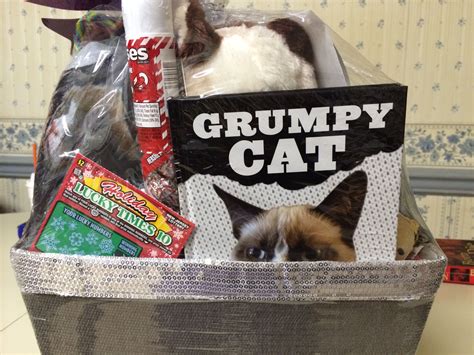 Grumpy Cat basket 3 | Cat basket, Grumpy cat, Crafty