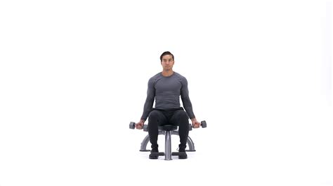 Seated dumbbell biceps curl | Exercise Videos & Guides | Bodybuilding.com