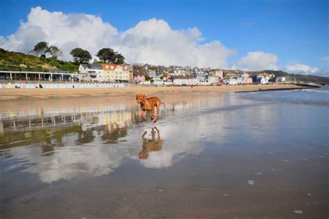 9 Dog Friendly Beaches In Dorset - Caravan Sleeps