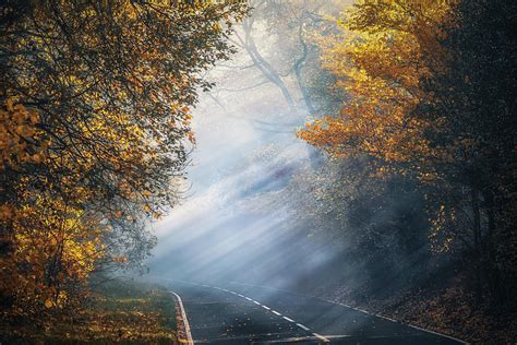 The Foggy Autumn Road No 3 Photograph by Chris Fletcher