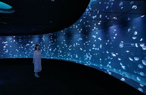 Sunshine Aquarium Nocturnal Love | Event | Metropolis Japan