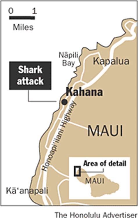 Shark kills Maui surfer