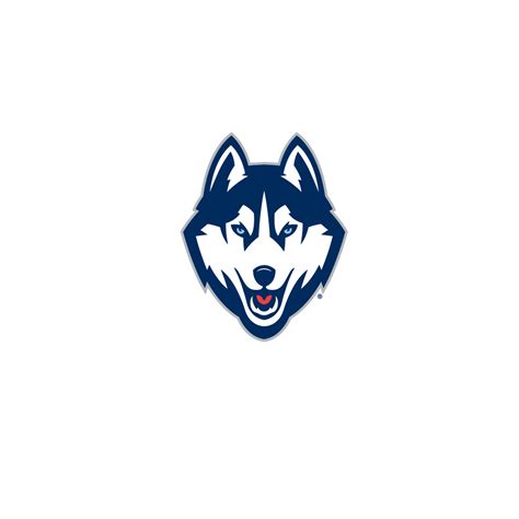 Uconn Huskies Logo Download - ClipArt Best