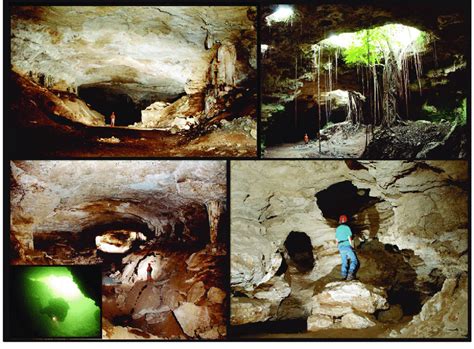 Phreatic and vadose caves of Sistema Zacatón show various types of cave ...