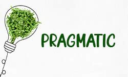 Pragmatic ~ Definition, Meaning And Use In A Sentence