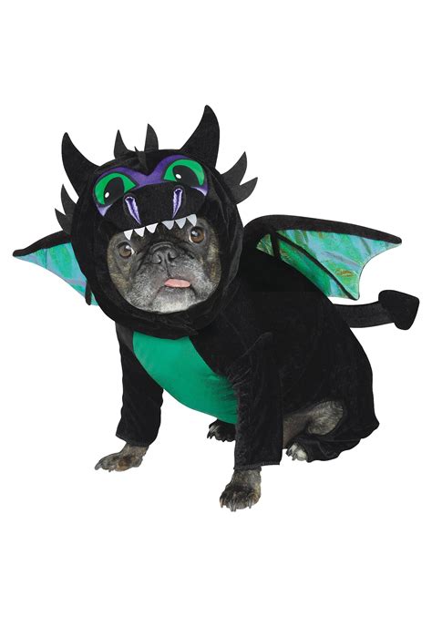 Toothless Dragon Costume Black Dragon Costume Dog Dragon | ubicaciondepersonas.cdmx.gob.mx