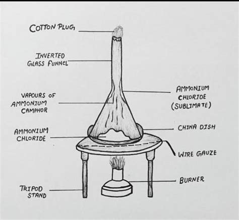 sublimation process diagram - brainly.com