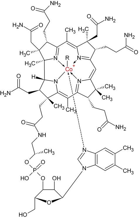 Cobalamine - DocCheck