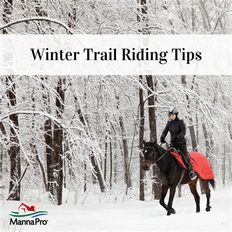 Check out these winter trail riding tips to help ensure you and your horse have a successful ...