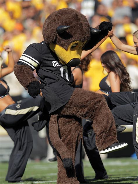 4 Times Colorado Mascots Proved They'll Do Anything for the Team - 5280