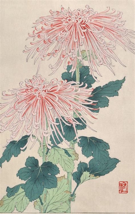 Kiku (Chrysanthemum) - Yuichi Osuga - SAKURA FINE ART