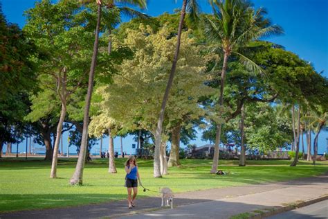 Kapiolani Park | SCENE of HAWAII by wavees