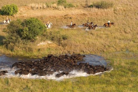 Okavango Delta Safaris | Okavango Tours & Safaris | Packages