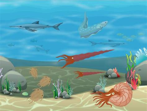 Paleozoic Era ( Read ) | Biology | CK-12 Foundation