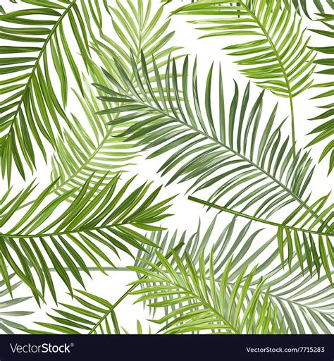 Seamless tropical palm leaves background Vector Image