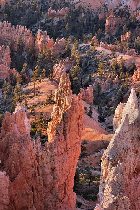 Bryce Canyon At Sunrise Photograph by Stephen Vecchiotti