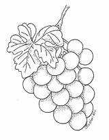 Grapes Coloring Pages Free Printable PDF sketch template