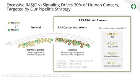 Revolution Medicines Stock: Advancing On Several Fronts (NASDAQ:RVMD ...