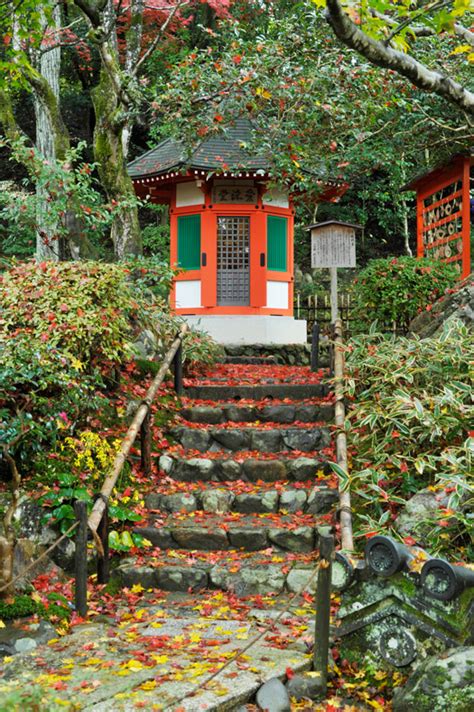 新善光寺HP-令和5年新善光寺展