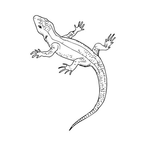 Premium Vector | Illustration in lizard Art Ink Style