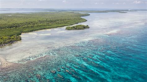 Coral Reef and Coastal Wetlands Protections Can Help Communities Withstand Climate Impacts | The ...