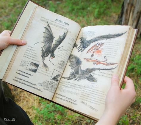 The Book of Dragons (How to train your Dragon) by GolubAnn on DeviantArt