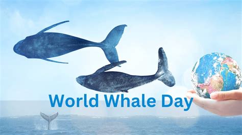 World Whale Day: Focus On The Most Endangered Species - The WFY