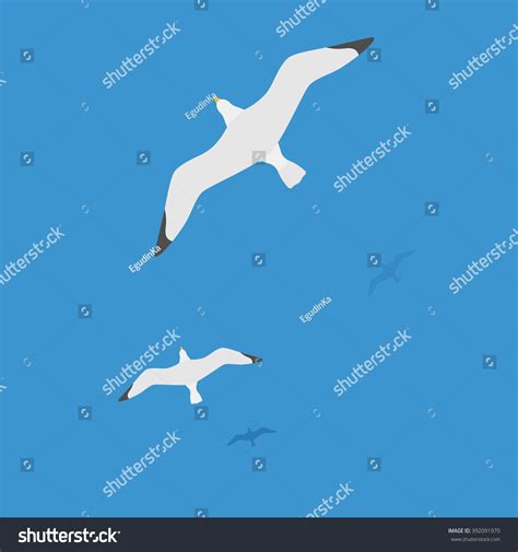 13,920 Bird flying top view Images, Stock Photos & Vectors | Shutterstock