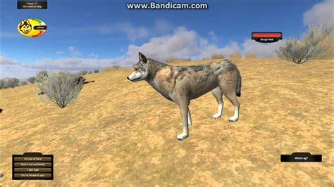 WolfQuest gameplay/tutorial 1.rész - YouTube