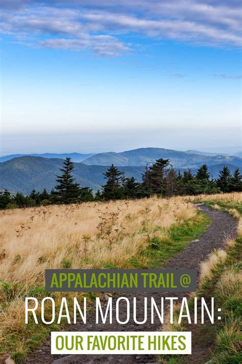 Roan Mountain hiking: Roan Highlands and Appalachian Trail | Mountain ...