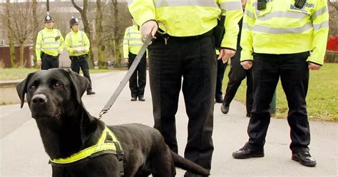 Gloucestershire Police dog handler awarded £15,000 after tribunal found ...