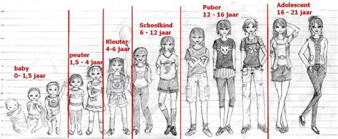 a line drawing shows the size and height of different dolls in each ...