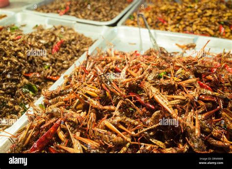 fried insects snack as food in Bangkok, Thailand Stock Photo: 66223140 - Alamy