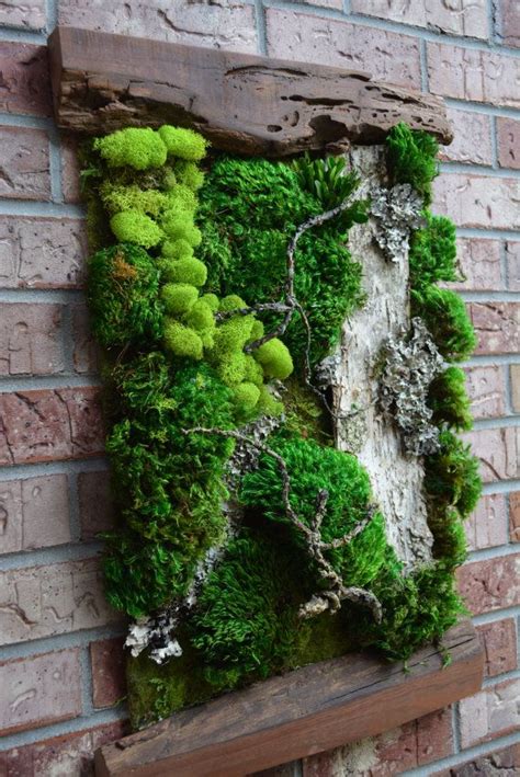 Mur mousse vivant Moss Wall Art, Moss Art, Succulent Wall Art, Plant Wall, Wall Garden, Hanging ...