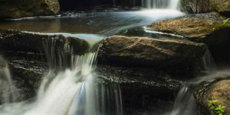 Listening To Nature Sounds At Work Can Boost Your Mood And Productivity ...