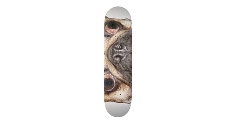 Pug Skateboard | Zazzle