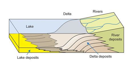 how is delta formed draw a neat and labelled diagram of delta answer in detail - Brainly.in