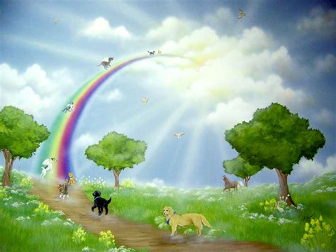 A poem of the rainbow bridge will help you in your time of grief