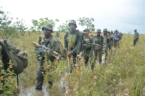 Over 900 army, police ranks involved in jungle training – News Room Guyana