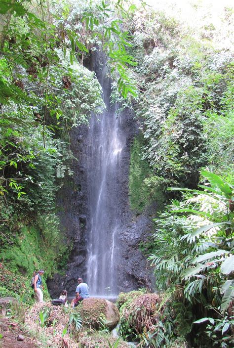 Things to do in Valle del Cauca | Experiences, Activities, Tours & More! - Colombia - Airbnb