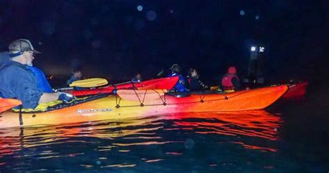 Bioluminescence Kayaking in the Bay Area: A Complete Guide - Kayak Connection