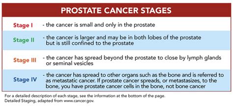 The four stages of prostate cancer – Stages Of Prostate Cancer