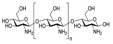 Chemical structure of chitosan. | Download Scientific Diagram