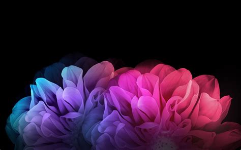 Dark Flowers Wallpapers - Wallpaper Cave