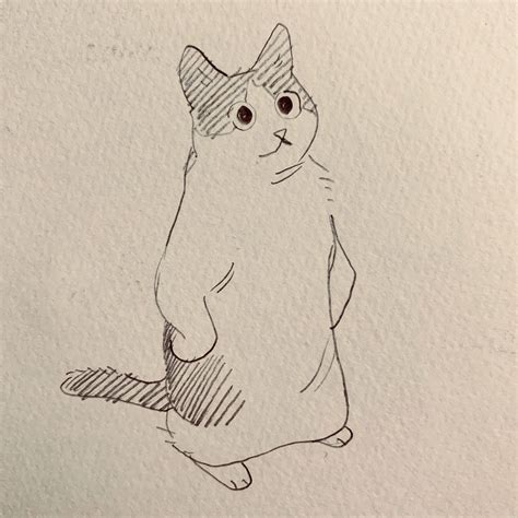 Cat Standing Up Drawing