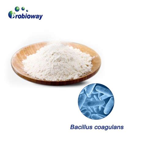 กำหนดเองผู้ผลิต Bacillus Coagulans ที่มีความเสถียรสูงโรงงาน - บริการขาย ...