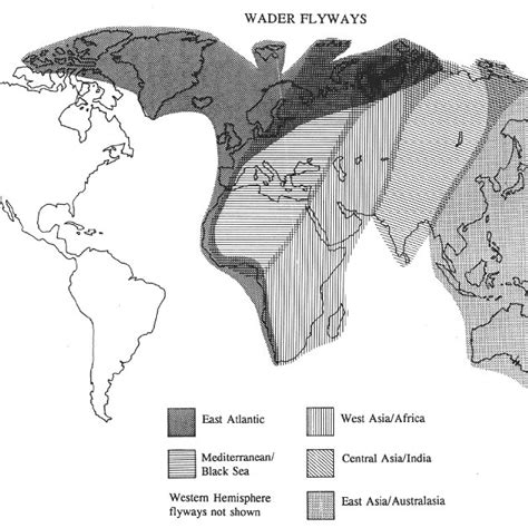 Shorebird migration flyways involving Europe and Asia (from Wader Study... | Download Scientific ...