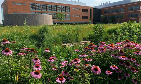 Danforth Plant Science Center - St. Louis, MO - Grow Native!